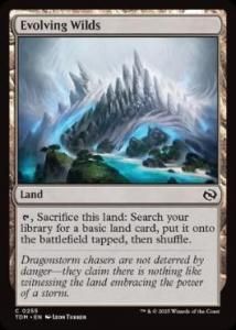 <img class='new_mark_img1' src='https://img.shop-pro.jp/img/new/icons1.gif' style='border:none;display:inline;margin:0px;padding:0px;width:auto;' />ʲ̤/Evolving Wilds(TDM)(EN)C