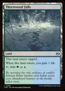 <img class='new_mark_img1' src='https://img.shop-pro.jp/img/new/icons1.gif' style='border:none;display:inline;margin:0px;padding:0px;width:auto;' />񿹤/Thornwood Falls(TDM)(EN)C