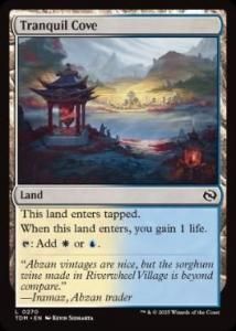 <img class='new_mark_img1' src='https://img.shop-pro.jp/img/new/icons1.gif' style='border:none;display:inline;margin:0px;padding:0px;width:auto;' />ʿ깾/Tranquil Cove(TDM)(EN)C