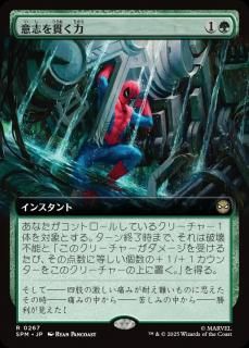 <img class='new_mark_img1' src='https://img.shop-pro.jp/img/new/icons1.gif' style='border:none;display:inline;margin:0px;padding:0px;width:auto;' />ջ֤Ӥ/Strength of Will(SPM)(JP)Rĥ