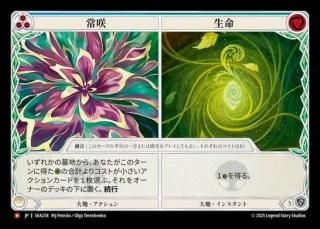 JPۡRainbow Foil[]  <> ̿ / Everbloom <> Life [M]SEA258