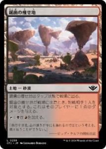 <img class='new_mark_img1' src='https://img.shop-pro.jp/img/new/icons1.gif' style='border:none;display:inline;margin:0px;padding:0px;width:auto;' />餻/Jagged Barrens(OTJ)(JP)