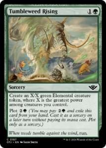 <img class='new_mark_img1' src='https://img.shop-pro.jp/img/new/icons1.gif' style='border:none;display:inline;margin:0px;padding:0px;width:auto;' />֥륦ɤ/Tumbleweed Rising(OTJ)(EN)