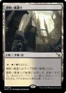 <img class='new_mark_img1' src='https://img.shop-pro.jp/img/new/icons1.gif' style='border:none;display:inline;margin:0px;padding:0px;width:auto;' />Ť΢̤/Shadowy Backstreet(MKM)(JP)R