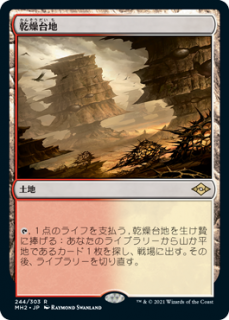 <img class='new_mark_img1' src='https://img.shop-pro.jp/img/new/icons1.gif' style='border:none;display:inline;margin:0px;padding:0px;width:auto;' />/Arid Mesa(MH2)(JP) R