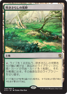 <img class='new_mark_img1' src='https://img.shop-pro.jp/img/new/icons1.gif' style='border:none;display:inline;margin:0px;padding:0px;width:auto;' />᤭餷ι/Windswept Heath (KTK)(JP) R