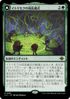 <img class='new_mark_img1' src='https://img.shop-pro.jp/img/new/icons1.gif' style='border:none;display:inline;margin:0px;padding:0px;width:auto;' />ȥ⥯Ĺ/Growing Rites of Itlimoc(LCI)(JP)