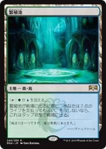 ˿/Breeding Pool(RNA)(JPN) M