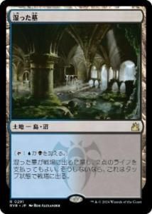 <img class='new_mark_img1' src='https://img.shop-pro.jp/img/new/icons1.gif' style='border:none;display:inline;margin:0px;padding:0px;width:auto;' />ä/Watery Grave(RVR)(JP)R 
