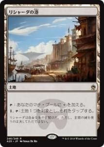 <img class='new_mark_img1' src='https://img.shop-pro.jp/img/new/icons1.gif' style='border:none;display:inline;margin:0px;padding:0px;width:auto;' />ꥷ㡼ι/Rishadan Port (A25)(JP)  M