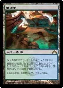 <img class='new_mark_img1' src='https://img.shop-pro.jp/img/new/icons1.gif' style='border:none;display:inline;margin:0px;padding:0px;width:auto;' />˿/Breeding Pool (GTC)(JPN) R