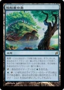 <img class='new_mark_img1' src='https://img.shop-pro.jp/img/new/icons1.gif' style='border:none;display:inline;margin:0px;padding:0px;width:auto;' />/Shelldock Isle (LRW)(JP) R