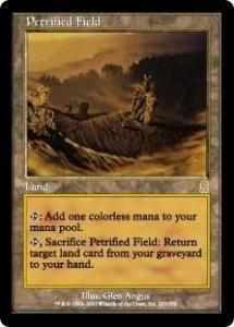 <img class='new_mark_img1' src='https://img.shop-pro.jp/img/new/icons1.gif' style='border:none;display:inline;margin:0px;padding:0px;width:auto;' />в/Petrified Field (ODY)(JP) M