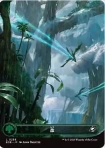 <img class='new_mark_img1' src='https://img.shop-pro.jp/img/new/icons1.gif' style='border:none;display:inline;margin:0px;padding:0px;width:auto;' />/Forest(EOE)(JP)ĥ