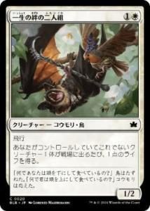 <img class='new_mark_img1' src='https://img.shop-pro.jp/img/new/icons1.gif' style='border:none;display:inline;margin:0px;padding:0px;width:auto;' />嫤/Lifecreed Duo(BLB)(JP)