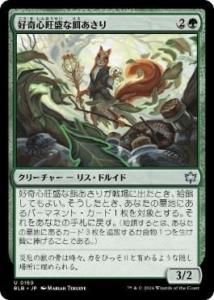 <img class='new_mark_img1' src='https://img.shop-pro.jp/img/new/icons1.gif' style='border:none;display:inline;margin:0px;padding:0px;width:auto;' />񿴲ʱ¤/Curious Forager(BLB)(JP)