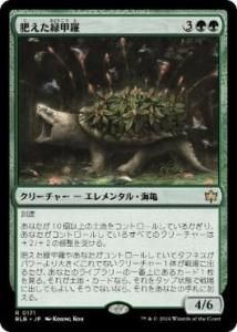 <img class='new_mark_img1' src='https://img.shop-pro.jp/img/new/icons1.gif' style='border:none;display:inline;margin:0px;padding:0px;width:auto;' />й/Fecund Greenshell(BLB)(JP)