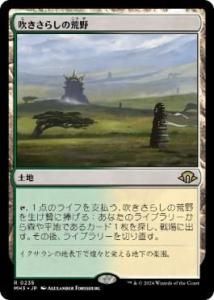 <img class='new_mark_img1' src='https://img.shop-pro.jp/img/new/icons1.gif' style='border:none;display:inline;margin:0px;padding:0px;width:auto;' />᤭餷ι/Windswept Heath (MH3)(JP) R