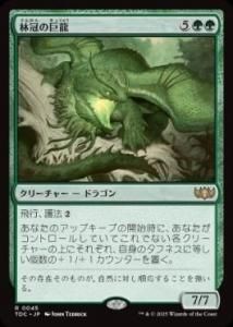 <img class='new_mark_img1' src='https://img.shop-pro.jp/img/new/icons1.gif' style='border:none;display:inline;margin:0px;padding:0px;width:auto;' />Ӵεζ/Canopy Gargantuan (TDC)(JP) R