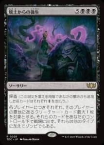 <img class='new_mark_img1' src='https://img.shop-pro.jp/img/new/icons1.gif' style='border:none;display:inline;margin:0px;padding:0px;width:auto;' />ڤθ/Afterlife from the Loam (TDC)(JP) R