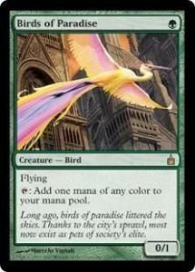 <img class='new_mark_img1' src='https://img.shop-pro.jp/img/new/icons1.gif' style='border:none;display:inline;margin:0px;padding:0px;width:auto;' />˳Ļ/Birds of Paradise (RAV)(EN) R