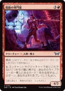 <img class='new_mark_img1' src='https://img.shop-pro.jp/img/new/icons1.gif' style='border:none;display:inline;margin:0px;padding:0px;width:auto;' />ư/Diversion Specialist(DSK)(JPN)U Foil