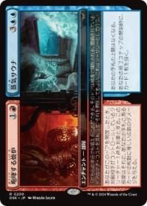 <img class='new_mark_img1' src='https://img.shop-pro.jp/img/new/icons1.gif' style='border:none;display:inline;margin:0px;padding:0px;width:auto;' />Ӭϧ + /Roaring Furnace // Steaming Sauna(DSK)(JPN)R Foil
