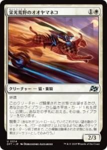<img class='new_mark_img1' src='https://img.shop-pro.jp/img/new/icons1.gif' style='border:none;display:inline;margin:0px;padding:0px;width:auto;' />ɸΥޥͥ/Gloryheath Lynx(DFT)(JP)U