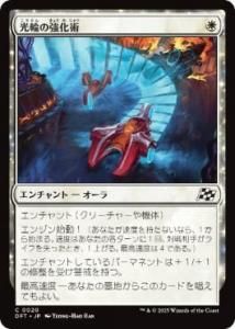 <img class='new_mark_img1' src='https://img.shop-pro.jp/img/new/icons1.gif' style='border:none;display:inline;margin:0px;padding:0px;width:auto;' />ؤζ/Lightwheel Enhancements(DFT)(JP)C
