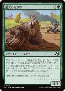 <img class='new_mark_img1' src='https://img.shop-pro.jp/img/new/icons1.gif' style='border:none;display:inline;margin:0px;padding:0px;width:auto;' />ƻΥ⥰/Pothole Mole(DFT)(JPN)C Foil
