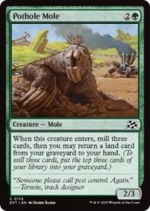 <img class='new_mark_img1' src='https://img.shop-pro.jp/img/new/icons1.gif' style='border:none;display:inline;margin:0px;padding:0px;width:auto;' />ƻΥ⥰/Pothole Mole(DFT)(EN)C Foil
