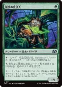 <img class='new_mark_img1' src='https://img.shop-pro.jp/img/new/icons1.gif' style='border:none;display:inline;margin:0px;padding:0px;width:auto;' />æÿ/Molt Tender(DFT)(JPN)U Foil
