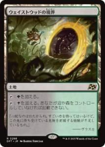 <img class='new_mark_img1' src='https://img.shop-pro.jp/img/new/icons1.gif' style='border:none;display:inline;margin:0px;padding:0px;width:auto;' />ȥåɤζ/Wastewood Verge(DFT)(JP)R Foil
