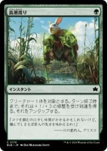<img class='new_mark_img1' src='https://img.shop-pro.jp/img/new/icons1.gif' style='border:none;display:inline;margin:0px;padding:0px;width:auto;' />ĬϤ/High Stride(BLB)(JP) Foil
