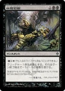 <img class='new_mark_img1' src='https://img.shop-pro.jp/img/new/icons1.gif' style='border:none;display:inline;margin:0px;padding:0px;width:auto;' />ͻ/Dismember (NPH)(JP) R
