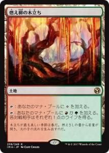 ǳΩ/Grove of the Burnwillows (IMA)(JP) R