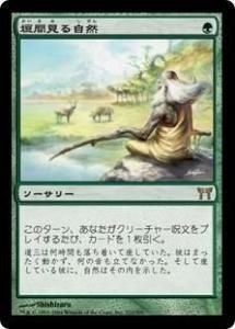 <img class='new_mark_img1' src='https://img.shop-pro.jp/img/new/icons1.gif' style='border:none;display:inline;margin:0px;padding:0px;width:auto;' />ָ뼫/Glimpse of Nature (CHK)(JP) R