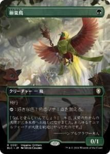 ˳Ļ/Birds of Paradise (BLC)(JP) R ܡ쥹
