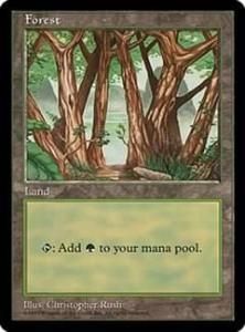 <img class='new_mark_img1' src='https://img.shop-pro.jp/img/new/icons1.gif' style='border:none;display:inline;margin:0px;padding:0px;width:auto;' />/Forest (APEC)(EN)(Illus.Christopher Rush) R