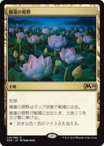 <img class='new_mark_img1' src='https://img.shop-pro.jp/img/new/icons1.gif' style='border:none;display:inline;margin:0px;padding:0px;width:auto;' />ϡθ/Lotus Field (M20)(JP)R