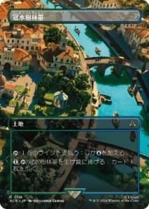 /Waterlogged Grove (ACR)(JP) R ܡ쥹Foil