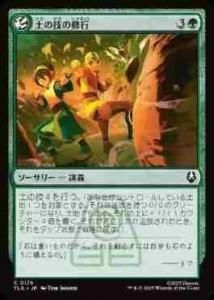 <img class='new_mark_img1' src='https://img.shop-pro.jp/img/new/icons1.gif' style='border:none;display:inline;margin:0px;padding:0px;width:auto;' />ڤεν/Earthbending Lesson(TLA)(JA)C Foil