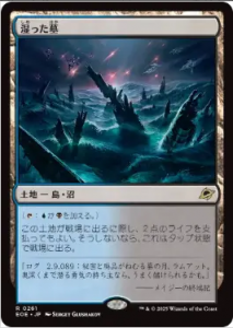 <img class='new_mark_img1' src='https://img.shop-pro.jp/img/new/icons1.gif' style='border:none;display:inline;margin:0px;padding:0px;width:auto;' />ä/Watery Grave(EOE)(JP)R PWޡդץ