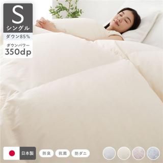  ݤ ꥵ  85 󥰥 ܥ꡼ ̵   ɽ ɥ ŵɻ߲ù  Բġ