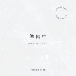 ʽ桪