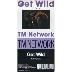 シティハンター GET WILD /TM NETWORK  中古アニメCDシングル