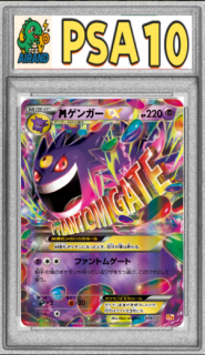 PSA10M󥬡EX(RR)-{049/131}