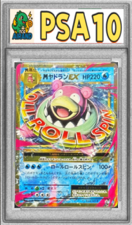 PSA10MɥEXP{263/XY-P}
