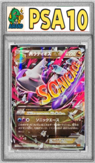 PSA10MƥEXRR{049/078}