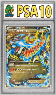 PSA10MꥶɥEX(X)RR{055/080}